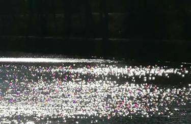 Haus Lupo am Kanal - Foto 23