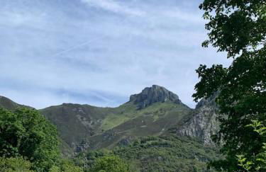 Apartamento Casa Güelu - Foto 31