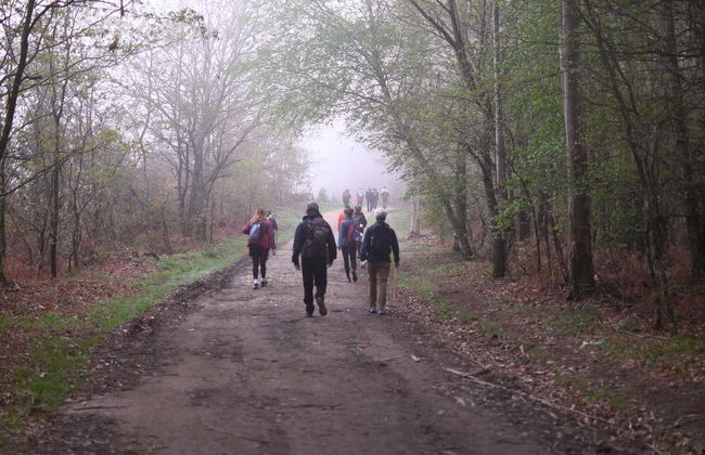 Caminho de Santiago francês em 7 dias - Foto 7