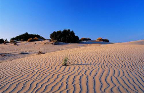Private pool on the beach - Wi-Fi - Doñana - Foto 34