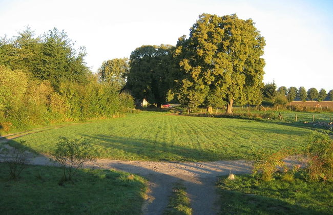 Wohnung in Semlow mit Garten und Terrasse - Foto 39