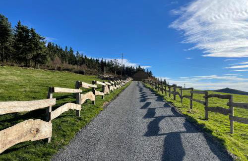 Olladas de Barbeitos - Foto 51