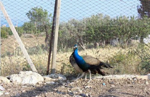 Agriturismo La Casa di Bacco - Foto 13