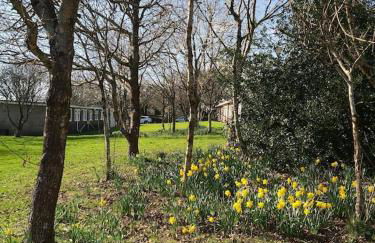 Dartmouth Caldon Holiday Chalet Sleeps 4 wifi elec inc Pets welcome - Foto 17