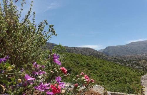 Arodamos Guesthouse - Foto 52