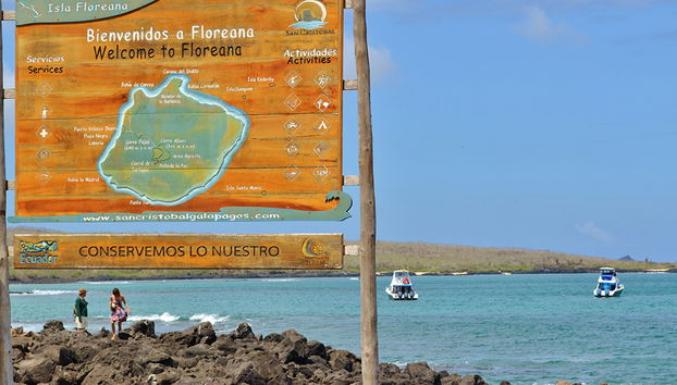 Floreana Full-Day Tour - from Santa Cruz - Photo 2