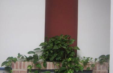 Apartamentos Turisticos Casa Cantillo - Foto 3