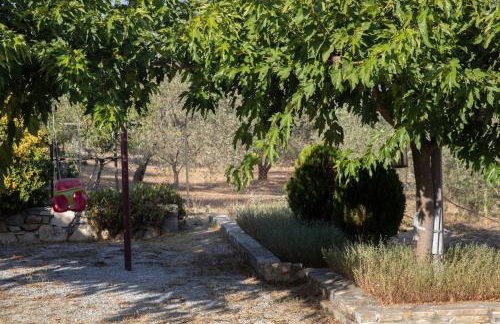 Apartment Viewing Garden - Foto 48