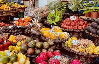 Elegant Apartment Overlooking Historic Loulé - Photo 7