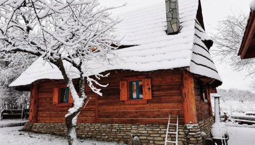 Jabłoniowa Chatka - Foto 5