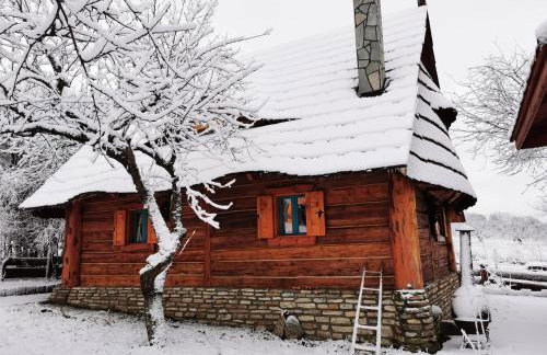 Jabłoniowa Chatka - Foto 5