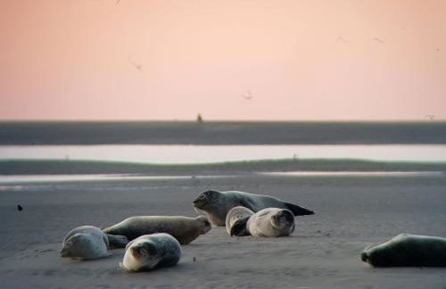 Les Enfants du Marais - Foto 15