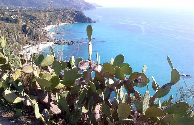 Maison Sainte Marie Holiday Accomodation - Foto 30