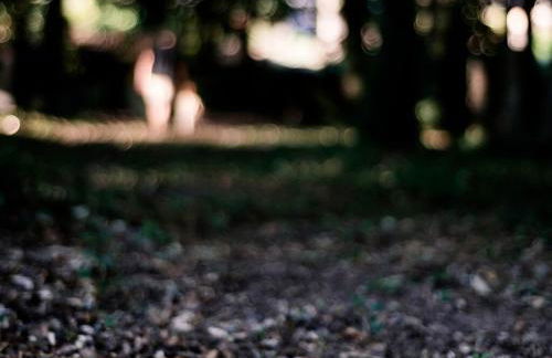 Aldea Rural Pazos De Arenteiro - Foto 47