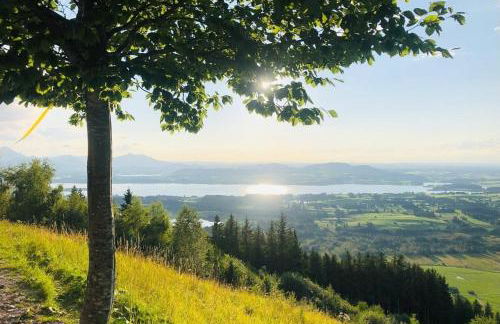 Apartment Alpenblick 11, Halblech im Allgäu, Bergblick pur - NEUERÖFFNUNG! - Foto 16