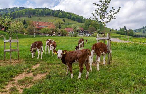 Schwarzwaldliebe - Foto 12