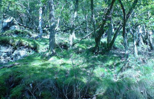 Ferienwohnung Otto - Foto 11