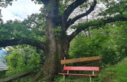 Gruentenausblick - Foto 21