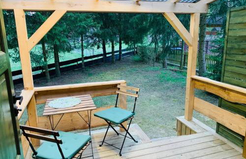 Igły i szyszki - Foto 7