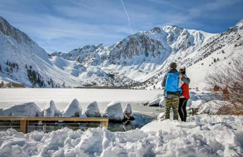 Mammoth Green 101 - Photo 46