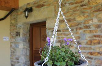 La Casa de la Abuela Milagros - Photo 13