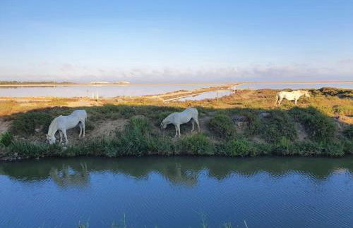 Maison 3 chambres, quartier calme, vue sur les salines ! - Foto 10
