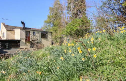 The Millers Roost at Dudgeley Mill - Foto 18