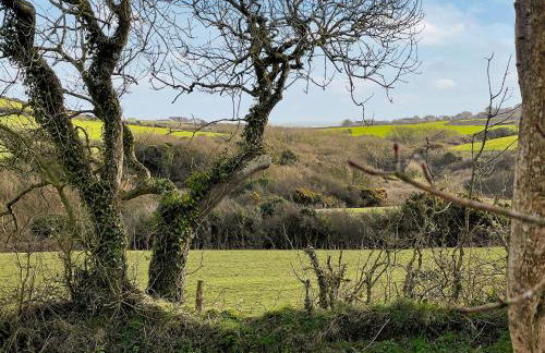 Gwdihŵ - Uk45625 - Foto 22