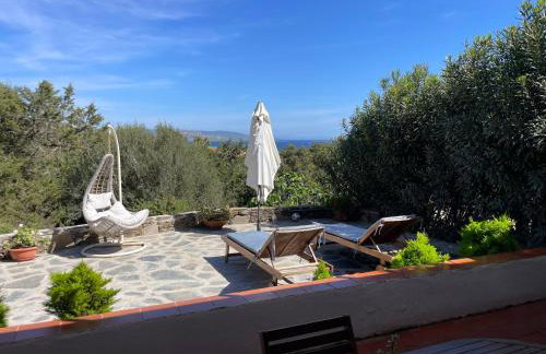 BuenaVista - Photo 41