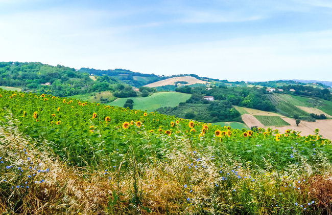 Maria Rosaria - Foto 30