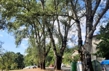 Ristoro la Verna, appartamenti in affitto - Foto 33