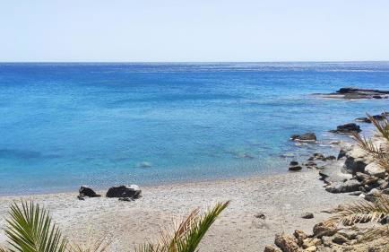 Blue Paradise - Photo 43