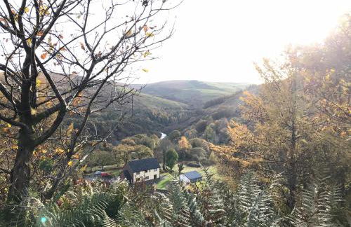 Afan forest-Cregan Cottage-Pet friendly - Foto 23