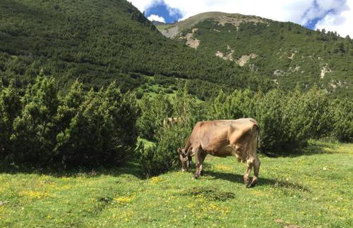 Appartamento Panoramic - Foto 26