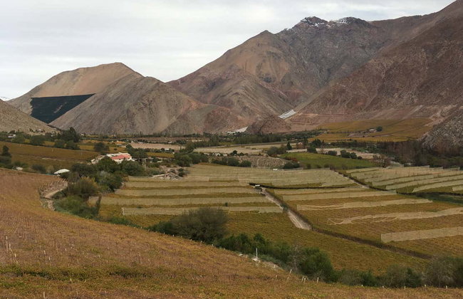 Elqui Valley Tour - Foto 6