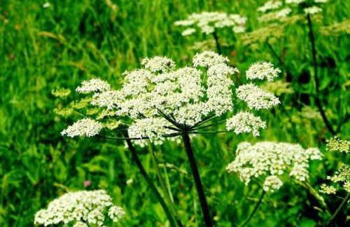 Appartamento con vista sul Cimone - Foto 71