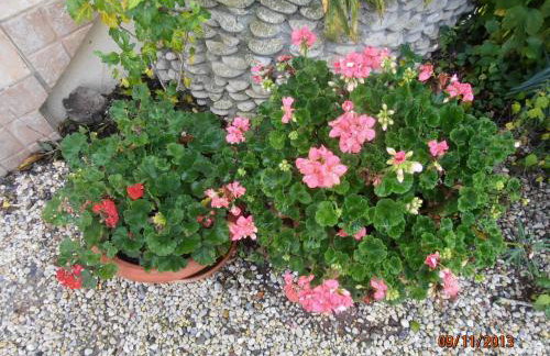 Les Galets - Foto 44