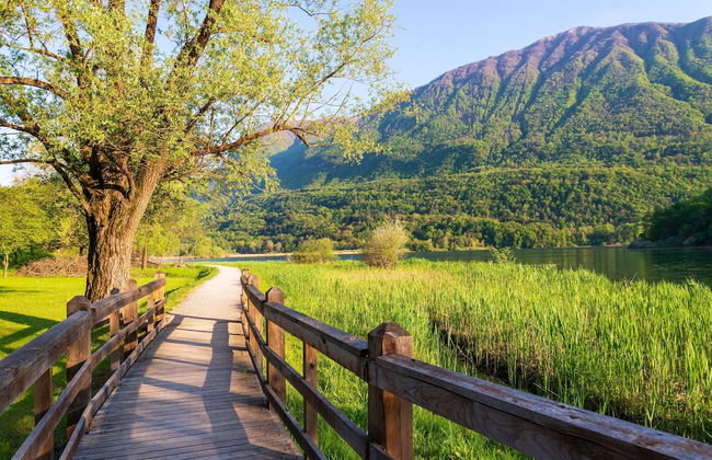 Villa Harriet - Foto 38