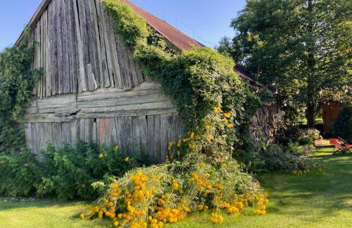 Kolonia u Jasia Rajgród - Foto 9
