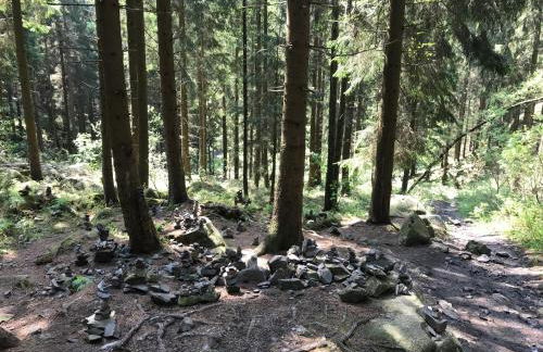 Am Wäldchen - Foto 30