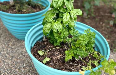 Modern 2BR Gem Steps to The Greene UD & WPAFB - Photo 23