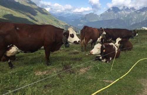 La Grange d'Anaïs - Foto 17