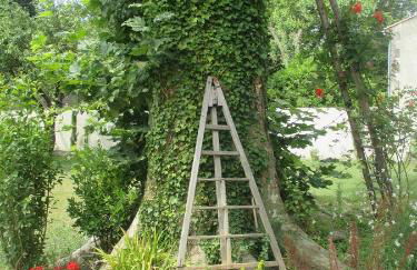 Mas Le Nathakassou - Foto 40