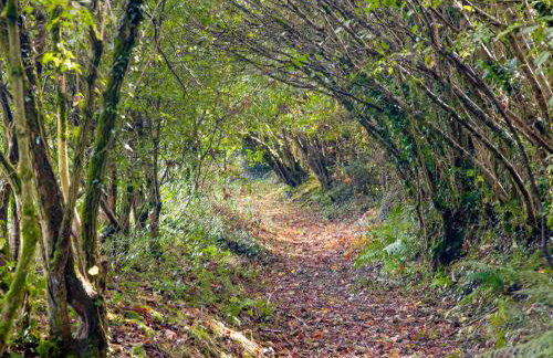 Uk45543-The Threshing Barn - Foto 41