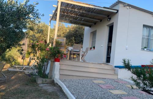 Olive Hill Private House - Foto 16