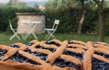 Casale Viridi - nel fresco delle colline Umbre - Foto 24
