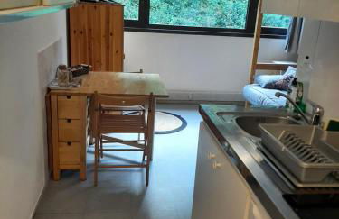 Studio 19 m2 à louer au Mont-Dore - Foto 13