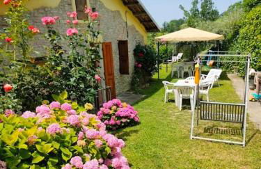 Casa in campagna nelle Langhe - Foto 7