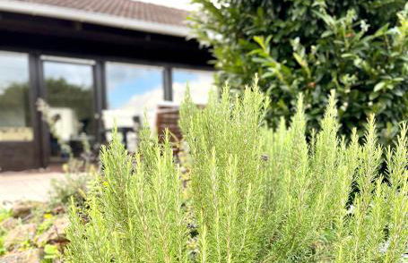Ferienhaus Weinbergblick - nahe Würzburg - 2 Schlafzimmer - Familienfreundlich - Terrasse - Foto 19