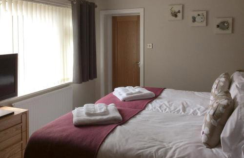 Green View - Photo 7